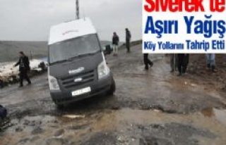 Siverek'te Aşırı Yağış Köy Yollarını...