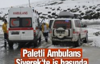 Paletli Ambulans Siverek'te İş Başında 