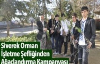 Siverek orman işletme şefliğinden ağaçlandırma...
