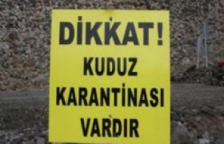 DİKKAT BU KÖYDE KUDUZ VAR