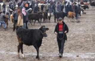 Vatandaşlar hayvan pazarının şehir dışına çıkarılmasını...