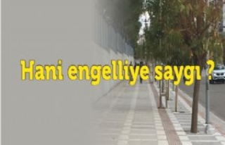 Hani engelliye saygı ?