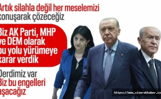 Cumhurbaşkanı Erdoğan: AK Parti, MHP ve DEM, yolda beraber yürümeye karar verdik