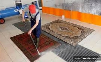 Sahte diploma skandalı: Fenomen psikoloğun gerçek mesleği ortaya çıktı