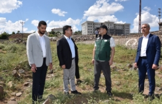 DSİ'den Siverek'e 350 Milyonluk Yatırım