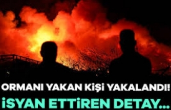 Bursa'daki yangında FETÖ şüphesi: Benzin bidonuyla yakalandı