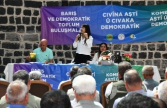 Siverek’te “Barış ve Demokratik Toplum Buluşmaları” gerçekleştirildi
