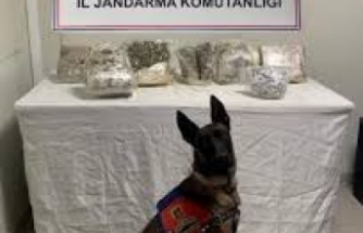 Şanlıurfa’da zehir tacirleri ve dolandırıcılara operasyon!