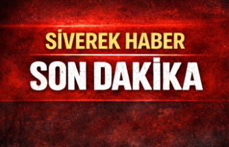 Ceylanpınar’da Tarihi Eser Operasyonu