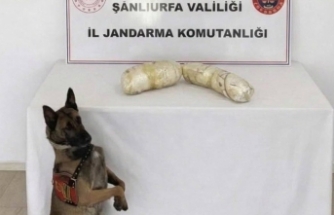 Şanlıurfa’da jandarma baskınıyla ele geçirildi!