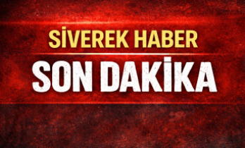 Ceylanpınar’da Tarihi Eser Operasyonu