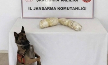 Şanlıurfa’da jandarma baskınıyla ele geçirildi!