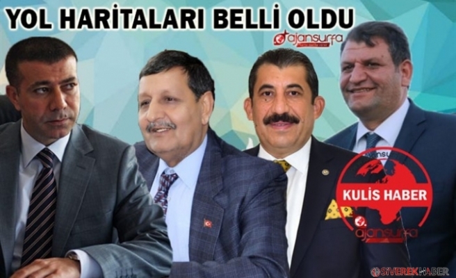 Urfa'da Demokrat Parti'ye de aday çıkıyor!