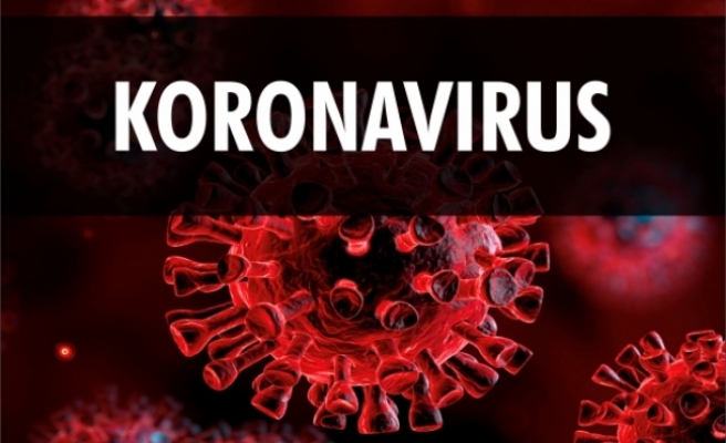 Türk Tabipleri Birliği İlk 2 Hafta Koronavirüs İçin Önemli
