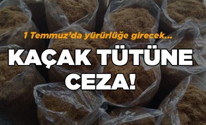 Kaçak tütüne ceza! 1 Temmuz'da yürürlüğe giriyor