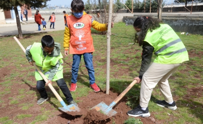 Öğrenciler okul bahçesine ağaç dikti