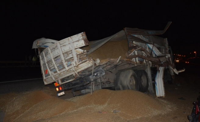 Siverek’te Buğday yüklü kamyon ile tır çarpıştı; 1’i ağır 3 kişi yaralandı.