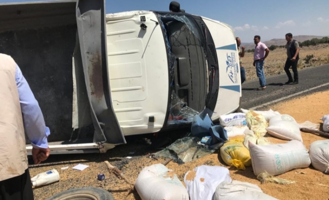 Şanlıurfa’nın Siverek İlçesi'nde  buğday yüklü kamyonet devrildi! Araçta bulunan 2 kişi yaralandı