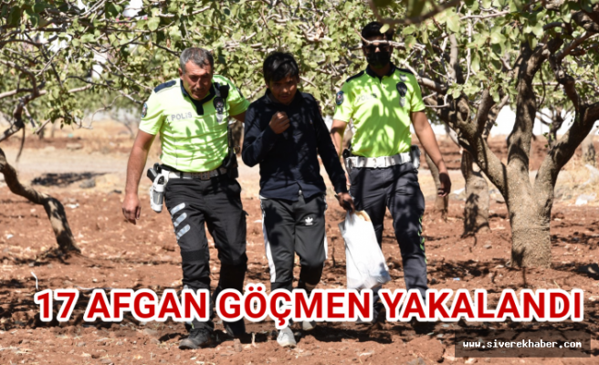 Siverek’te 17 Afgan göçmen yakalandı