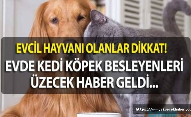 Evcil hayvanı olanlar dikkat: 31 Aralık'a kadar başvurmayanlar ceza ödeyecek