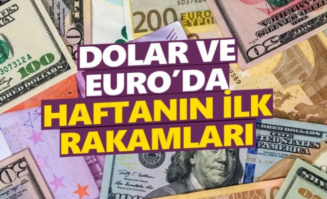 Dolar ve euroda haftanın ilk rakamları