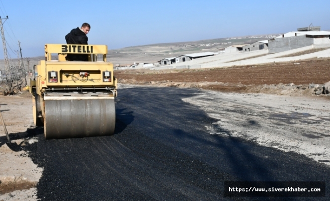 Yeni hayvan pazarı yolunda bakım ve onarım çalışması