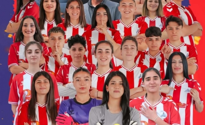 Siverek İdman Yurdu 2 lige yükseldi
