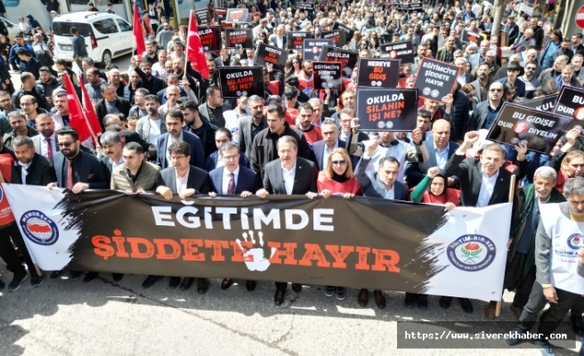 Siverek'te Şiddete Karşı Yürüyüş