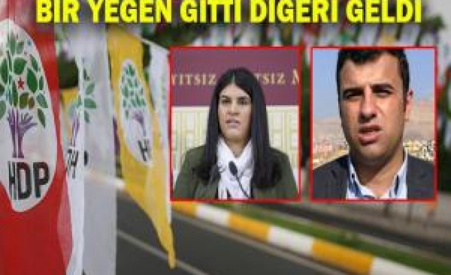 HDP Şanlıurfa aday listesi'nde 'Öcalan' var