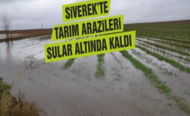 Siverek'te tarım arazileri sular altında kaldı