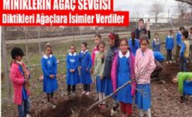 MİNİKLERİN AĞAÇ SEVGİSİ