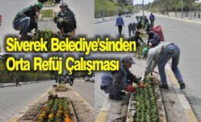 Siverek Belediye'sinden Orta Refüj Çalışması 