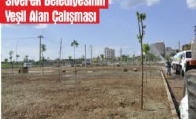 Siverek Belediyesinin Yeşil Alan Çalışması 