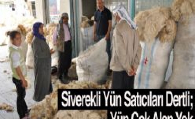 Siverekli Yün Satıcıları Dertli; Yün Çok Alan Yok 