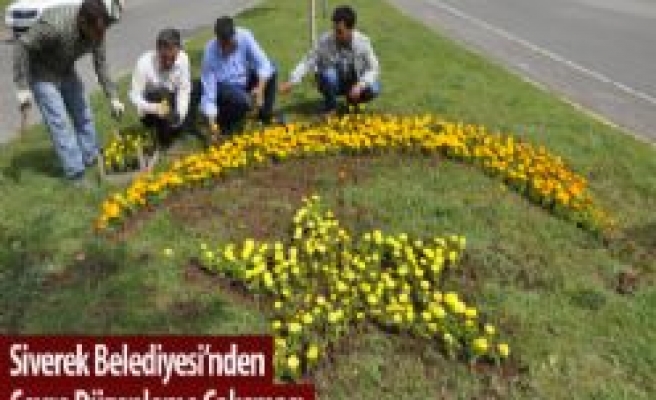 Siverek Belediyesi Çevre Düzenleme Çalışması 