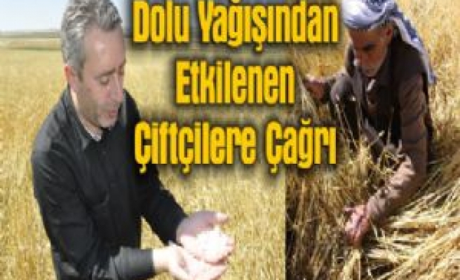 Dolu Yağışından Etkilenen Çiftçilere Çağrı