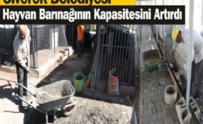 Siverek Belediyesi Hayvan Barınağının Kapasitesini Artırdı 