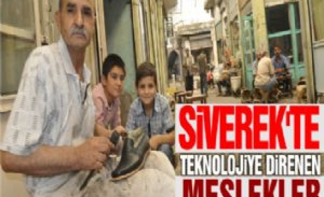  Siverek'te Teknolojiye Direnen Meslekler 