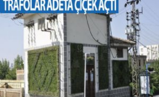  Siverek'te Trafolar Adeta Çiçek Açtı