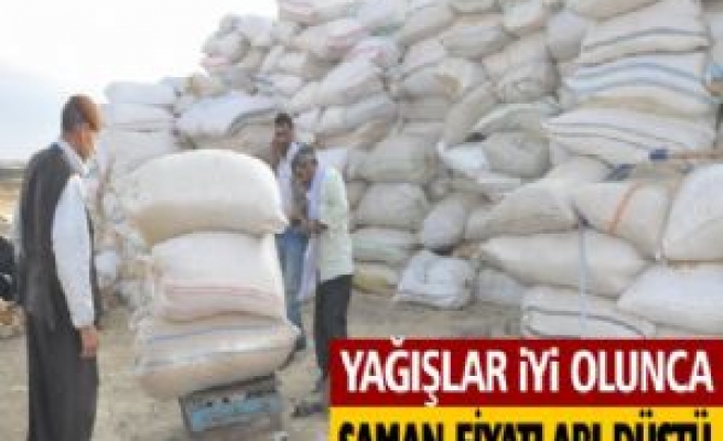 Yağışlar İyi Olunca Saman Fiyatları Düştü 