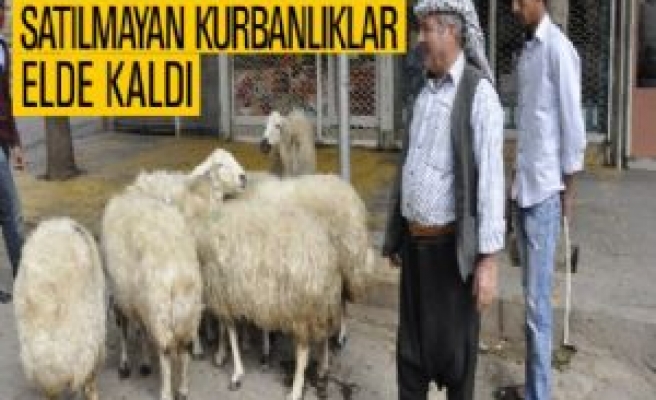 Satılmayan Kurbanlıklar Elde Kaldı