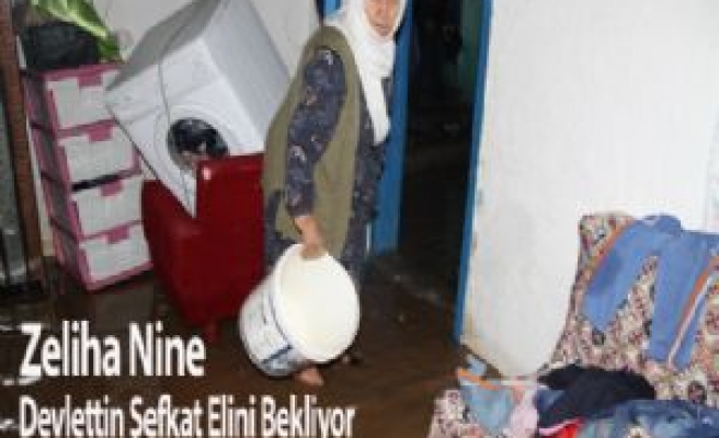 Zeliha Nine Devletin Şefkat Elini Bekliyor 