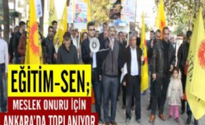 Eğitim-Sen; Meslek Onuru İçin Ankara'da Toplanıyor