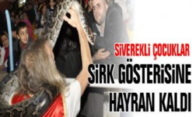 Siverekli Çocuklar Sirk Gösterisine Hayran Kaldı 