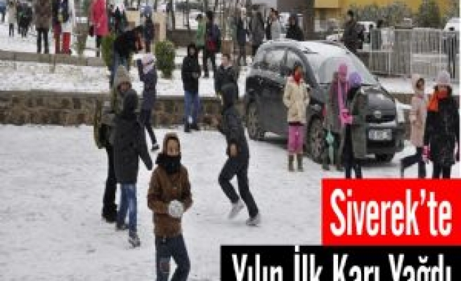  Siverek'e Yılın İlk Karı Düştü