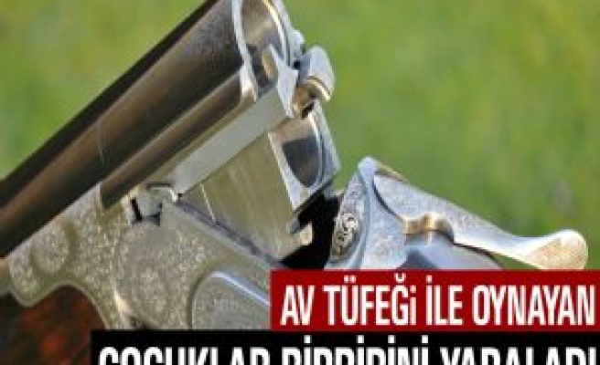 Av Tüfeği İle Oynayan Çocuklar Birbirini Yaraladı