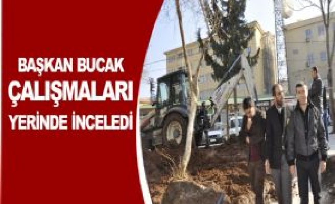 Başkan Bucak Çalışmaları Yerinde İnceledi
