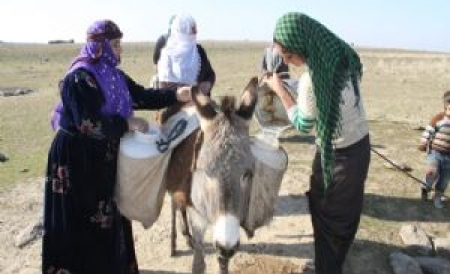 Siverek'li Köylü Kadınların Su Çilesi