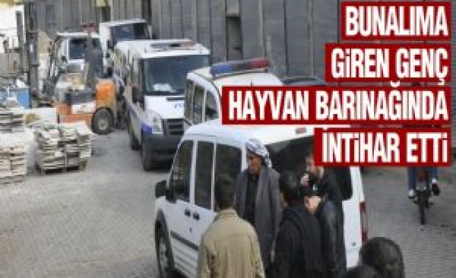 Bunalıma Giren Genç Hayvan Barınağında İntihar Etti