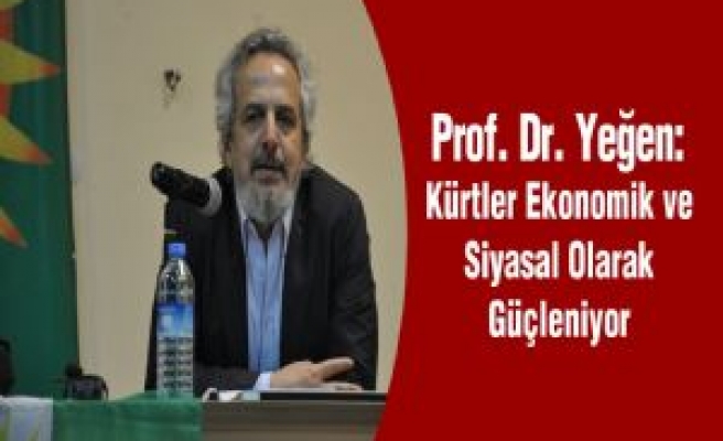 Prof. Dr. Yeğen: Kürtler Ekonomik ve Siyasal Olarak Güçleniyor